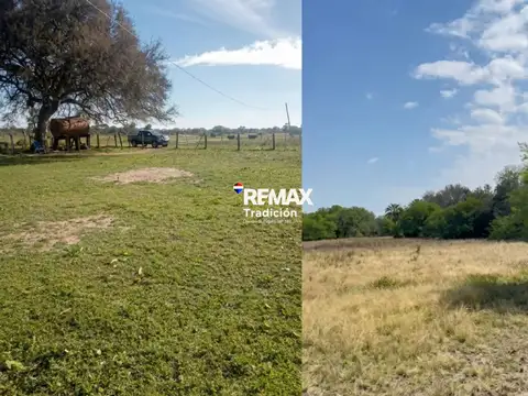 VENTA CAMPO GANADERO 589 HAS PROVINCIA DEL CHACO
