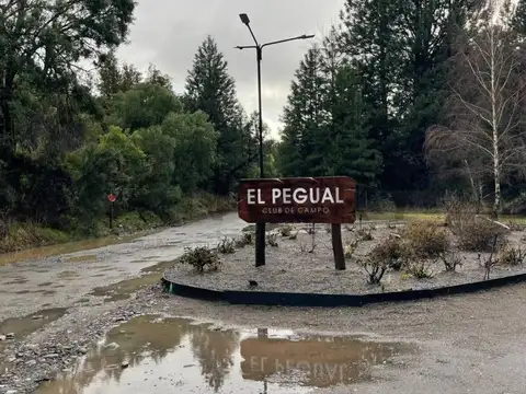 VENTA LOTE SAN MARTÍN DE LOS ANDES. BARRIO EL PEGUAL CLUB DE CAMPO.