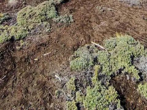 Terreno en Venta de 4100,0 m2