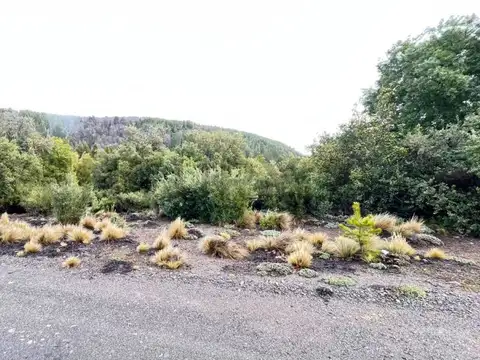 VENTA LOTE SAN MARTÍN DE LOS ANDES. BARRIO EL PEGUAL CLUB DE CAMPO.