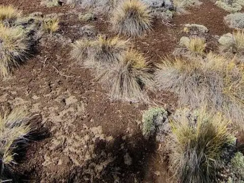 Ruca hué 100, Piso 0