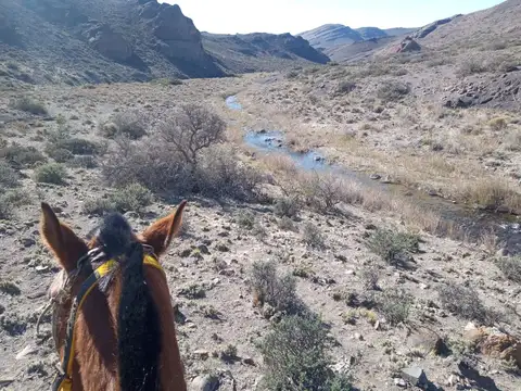 Campo en Venta de 16.500  ha