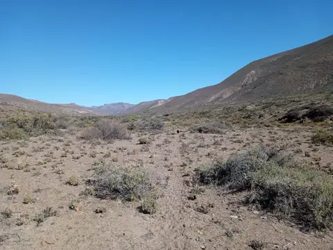 Campo de 16.500 has en Gorro Frigio