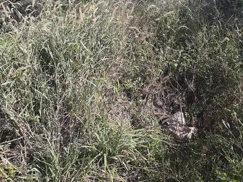 Terreno en Venta 80  mts Frente