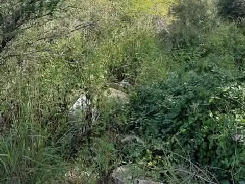 Terreno en Venta en Bialet Masse, Punilla