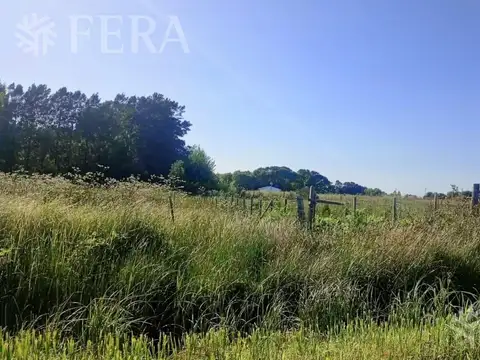 Terreno en Venta de 7500,0 m2