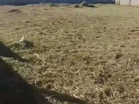 Terreno en Venta de 600,0 m2