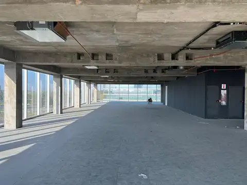 Oficinas en alquiler de 65 a 145 m² en Buenavista a estrenar abril 2026