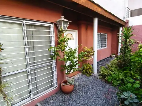 Campichuelo 2952