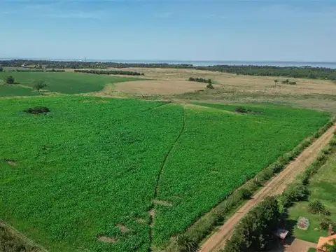 Campo en Venta Agricola