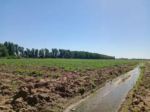 Terreno en Venta en Las Heras, Mendoza