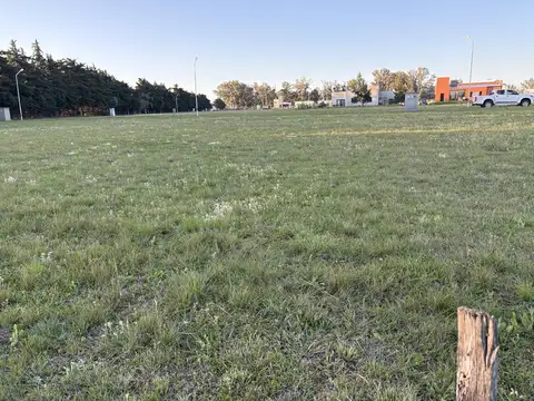 Terreno en Venta de 800,0 m2