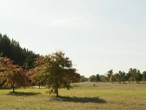 Ruta 6 100