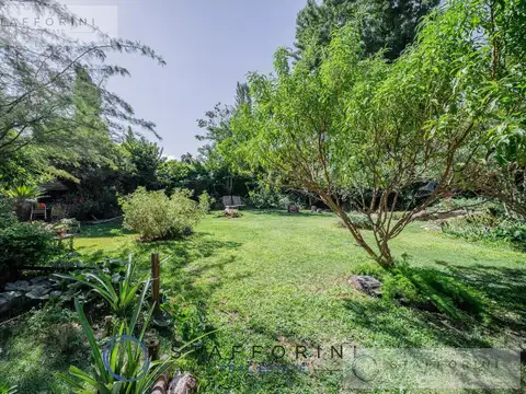 Casa de 9 ambientes 5 baños completos, doble dep. Jardín y pileta Belgrano