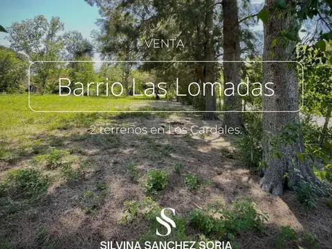2 TERRENOS EN VENTA, BARRIO SEMI CERRADO LAS LOMADAS, LOS CARDALES