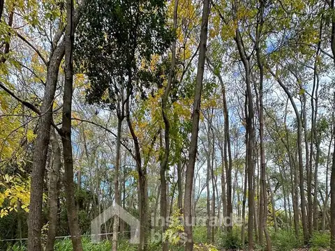 Terreno Lote  en Venta en Delta, Tigre, G.B.A. Zona Norte