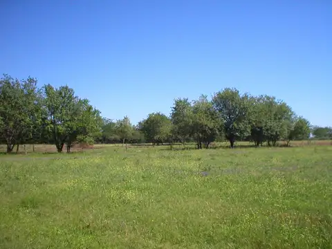 Terreno en Venta de 2000,0 m2