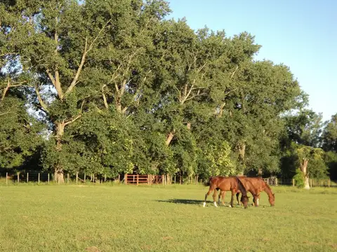 Terreno en Venta en San Antonio De Areco, USD 33.000
