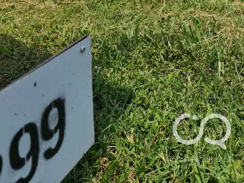 Terreno en Venta en Fincas de San Vicente, USD 50.000