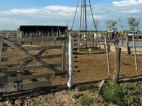 Venta de campo en san jeronimo del sauce 252 has