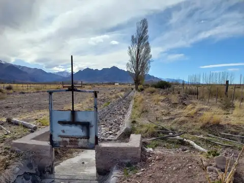 VENTA CAMPO CON CASA SAN ALBERTO USPALLATA