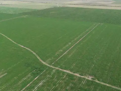 64,7 HECTAREAS ZONA DE CHOVET