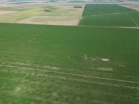 64,7 HECTAREAS ZONA DE CHOVET