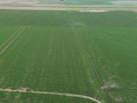 64,7 HECTAREAS ZONA DE CHOVET