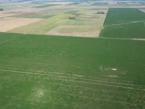 64,7 HECTAREAS ZONA DE CHOVET