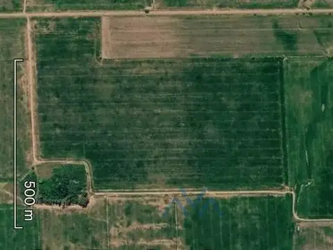 Campo Agrícola 180 Has. I y II, Zona Nucleo, Theobald, Santa Fé, Argentina