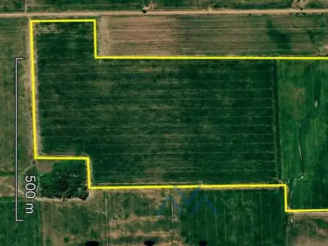 Campo Agrícola 180 Has. I y II, Zona Nucleo, Theobald, Santa Fé, Argentina