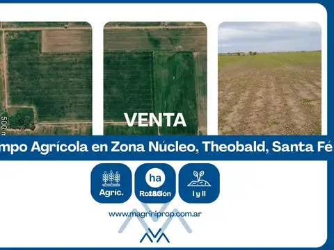 Campo Agrícola 180 Has. I y II, Zona Nucleo, Theobald, Santa Fé, Argentina