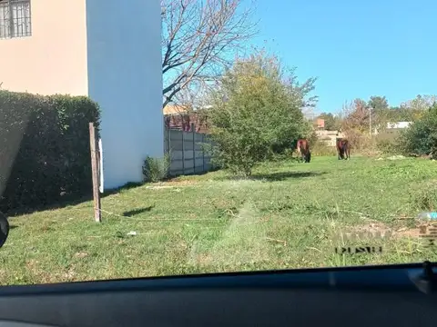 Terreno - Venta - Argentina, La Plata