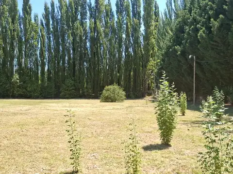C. Rural C 9