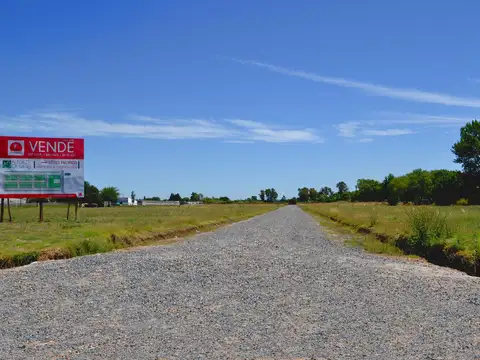 Terreno - Lisandro Olmos Etcheverry