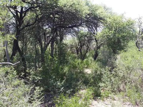 Terreno en Venta de 1000,0 m2