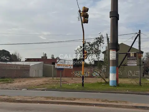 Av. 21 2000