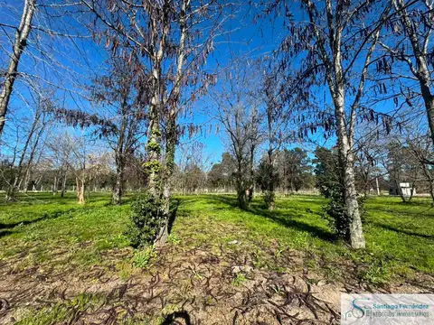 Terreno / Lote en venta de 375m2 ubicado en La Lonja