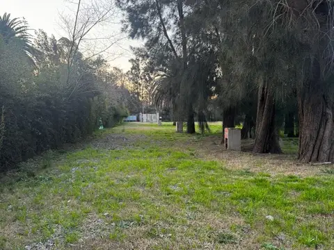 IGNASIO CORSINI BENAVIDEZ TIGRE al 800