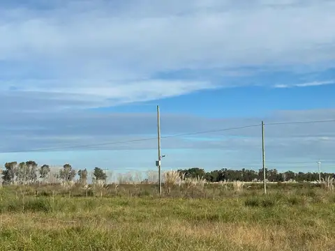 Benquerencia Barrio De Chacras