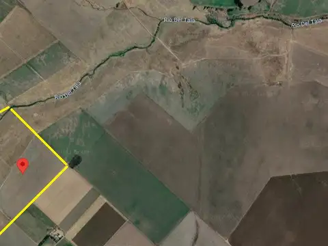 Campo mixto 52 has