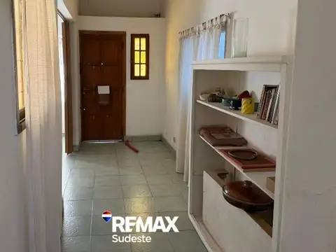Paunero 100