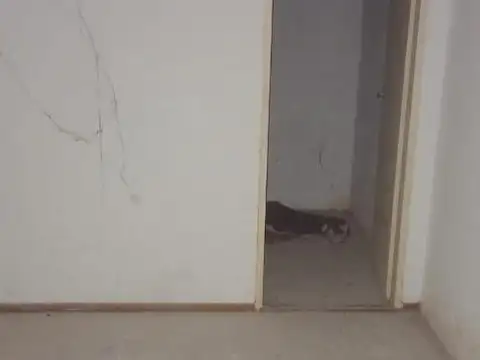 Local en Alquiler 15 años