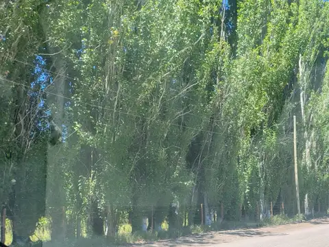 Campo en Venta de 30  ha