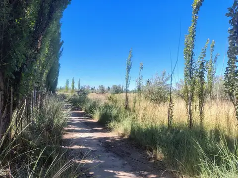 Campo en Venta Chacra