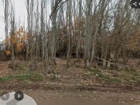 Campo en Venta Chacra
