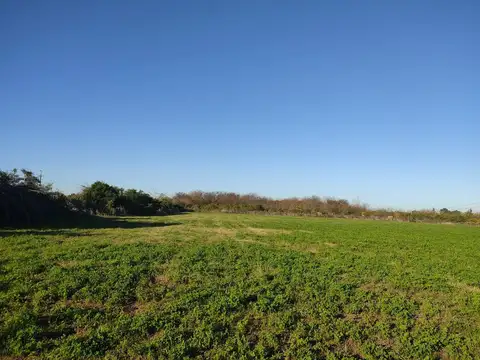 Ruta 75, Campo de casi 6 hás. 
