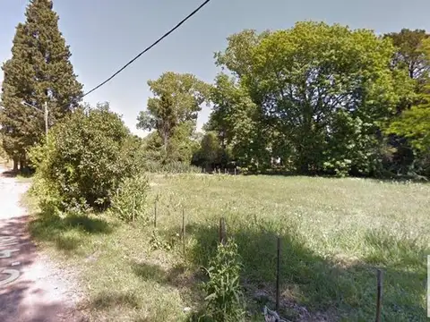 Terreno en venta - 334mts2 - Arturo Seguí