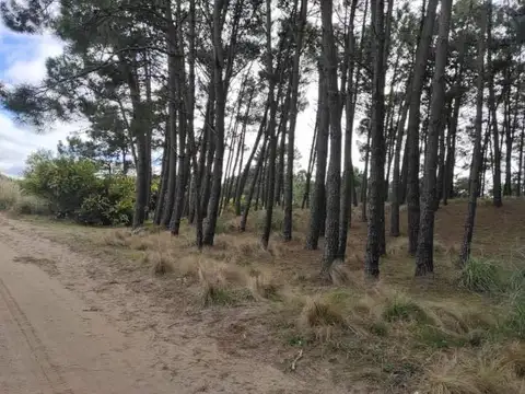 Terreno en Venta de 1359,0 m2