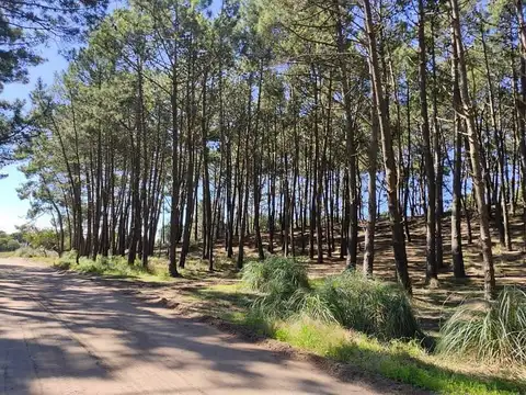 LOTE MULTIFAMILIAR HOTELERO - Mar de las Pampas |